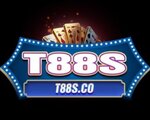 T88S CO