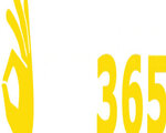 ok365report